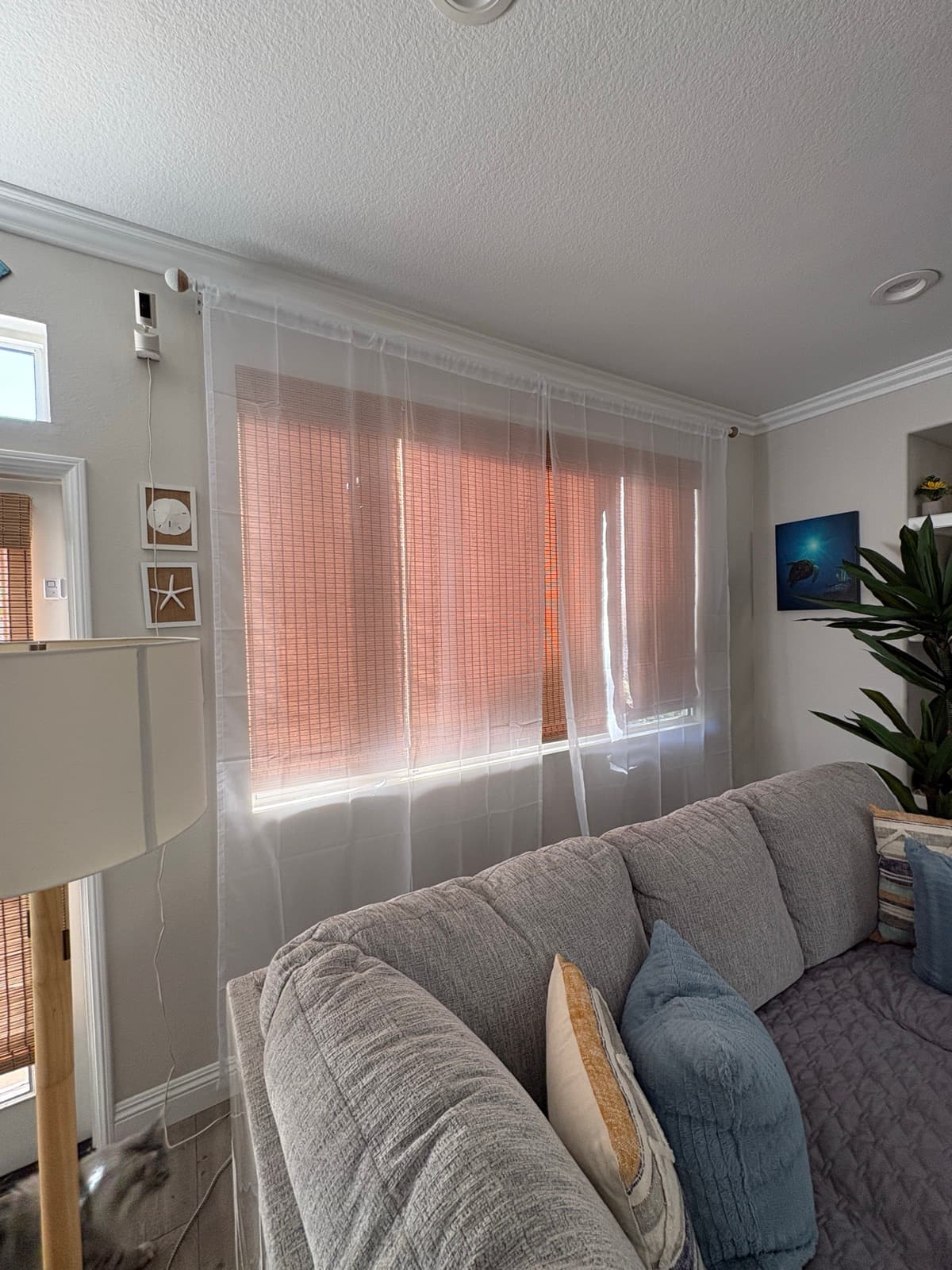 Curtain Rod Installation photo 1