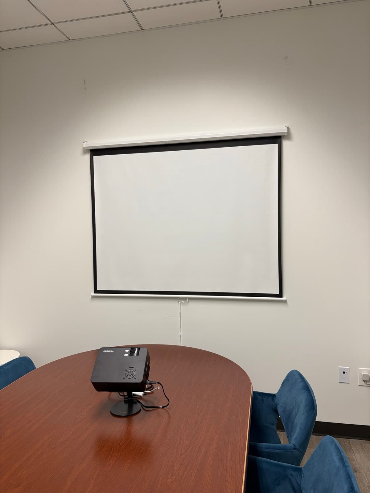 Wall-Mounted Projector Screen Installation photo 1